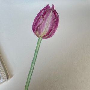 Meet your Posher, Ariana